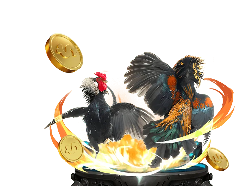 Phân tích dữ liệu đá gà Thomo