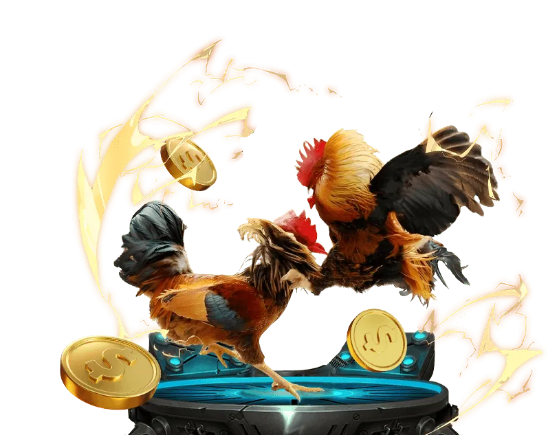 Mẹo Cá Cược Đá Gà Thomo